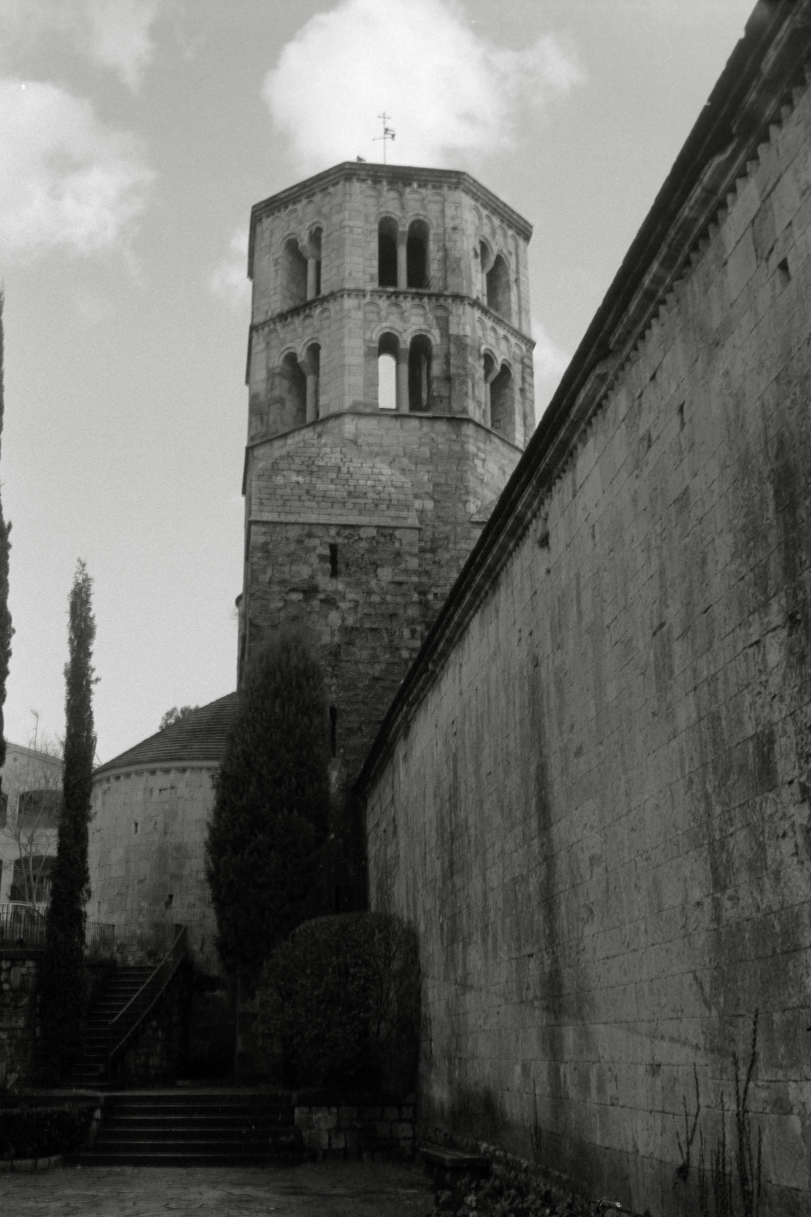 AHP F1996 02 001 sc240816 img22 NLP